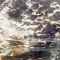 Mořský ježek v záplavě slunečního svitu od Evy Lazarové
